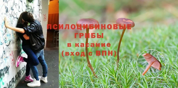 2c-b Балахна
